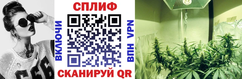 Купить закладку ГАШ  Конопля  APVP  МЕФ  Болотное