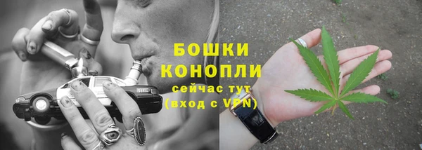 сатива Майский