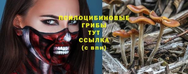 крисы Мегион