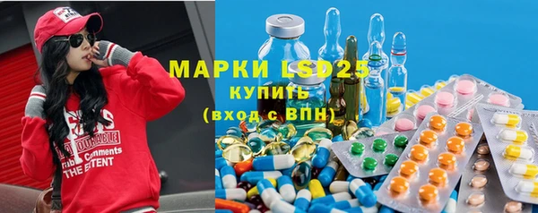 крисы Мегион